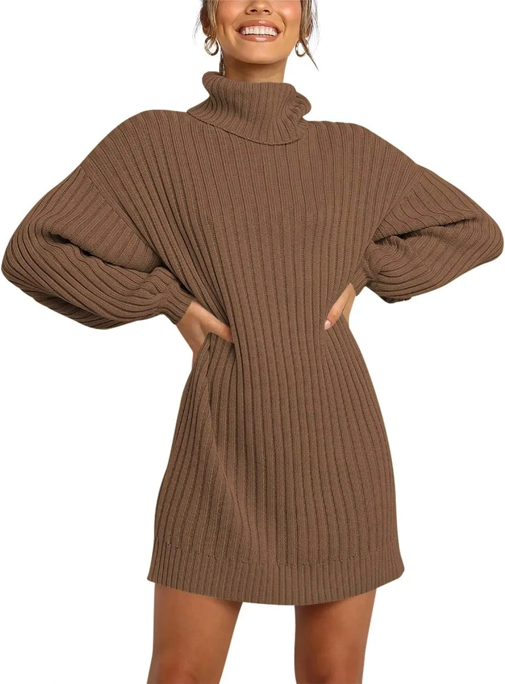Prinbara Women Turtleneck Long Lantern Sleeve Casual Loose Oversized Sweater Dress Soft Winter Pullover Dresses