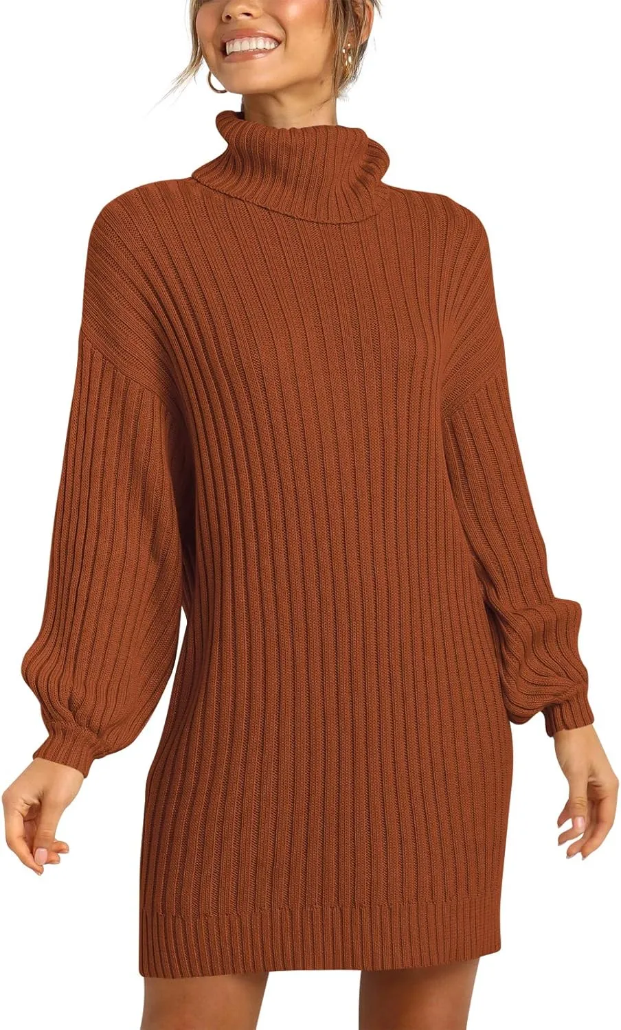 Prinbara Women Turtleneck Long Lantern Sleeve Casual Loose Oversized Sweater Dress Soft Winter Pullover Dresses