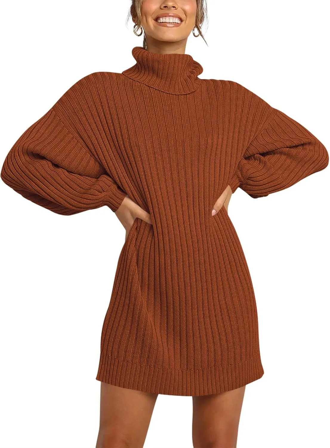 Prinbara Women Turtleneck Long Lantern Sleeve Casual Loose Oversized Sweater Dress Soft Winter Pullover Dresses