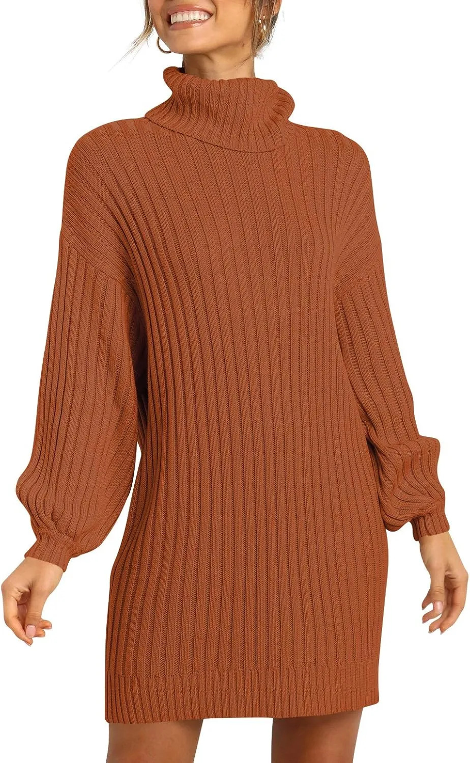 Prinbara Women Turtleneck Long Lantern Sleeve Casual Loose Oversized Sweater Dress Soft Winter Pullover Dresses